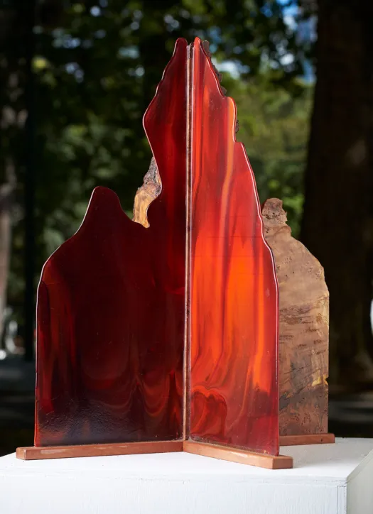 Transection by Peter Toyne