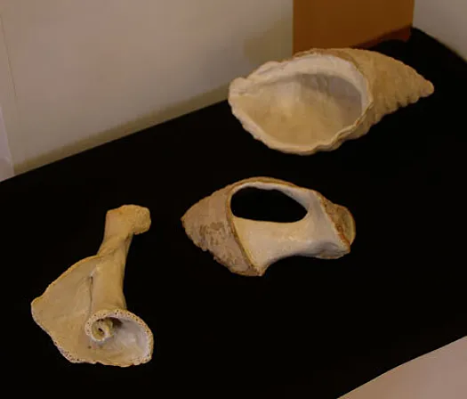 Trilogy in Time by Bronwyn Culshaw