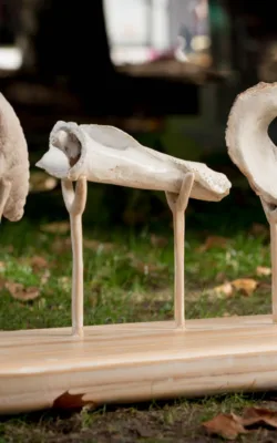 Trilogy in Time by Bronwyn Culshaw