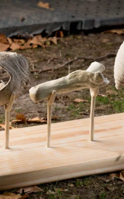 Trilogy in Time by Bronwyn Culshaw