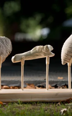 Trilogy in Time by Bronwyn Culshaw