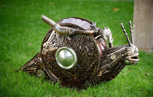 Turbocharged Snail by Damien Keirl