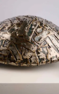 Turtle by Peter King