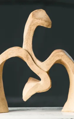 Two Dance Steps by Rachel Boymal