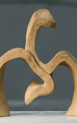 Two Dance Steps by Rachel Boymal