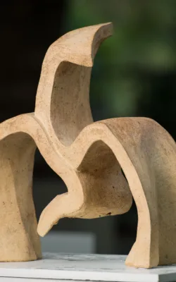 Two Dance Steps by Rachel Boymal