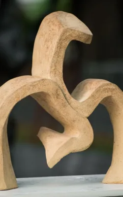 Two Dance Steps by Rachel Boymal