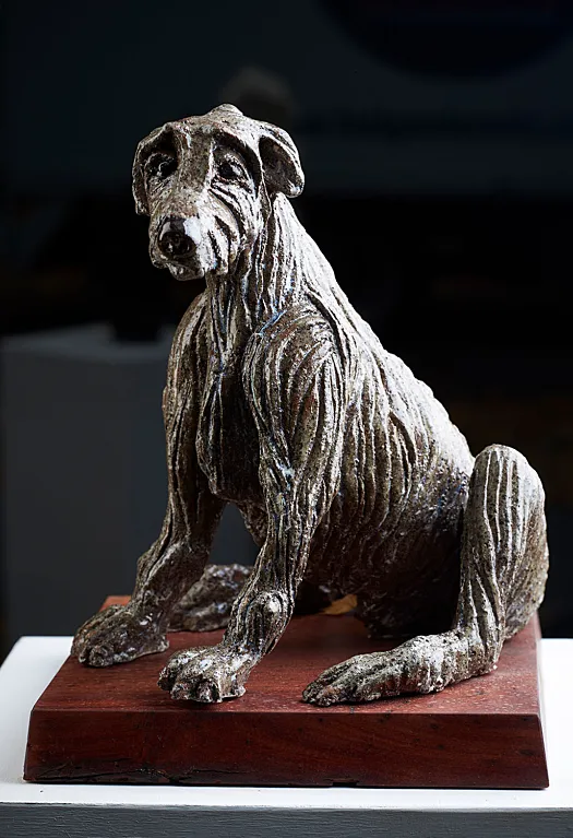 Underdog by Aukje Van Vark