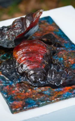 Underwater Discovery by Betty Collier