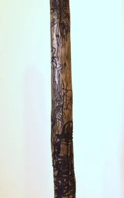 Untitled 1 by Michael Adeney