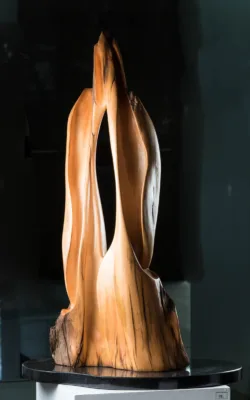 Upward Thrust by Betty Collier