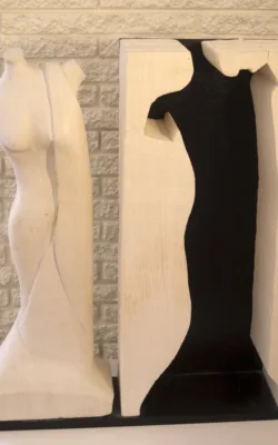 Venus de Melbourne by Brian  Wigg