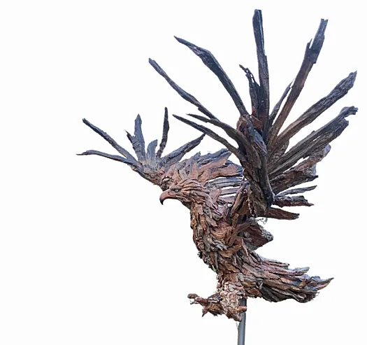Wally the wedge tailed eagle by Chris Anderson