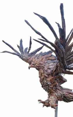 Wally the wedge tailed eagle by Chris Anderson