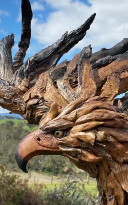 Wally the wedge tailed eagle by Chris Anderson