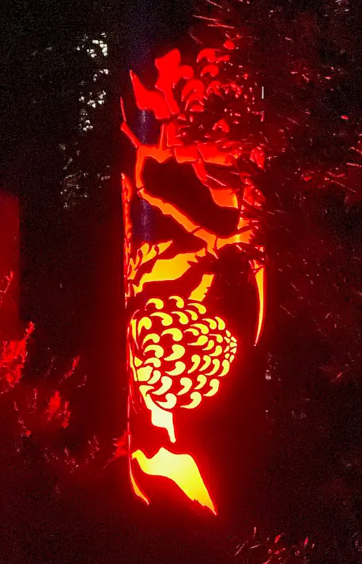 Waratah by Paul Gennings