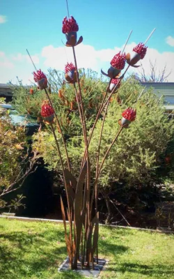 Warratah by Paul Gennings