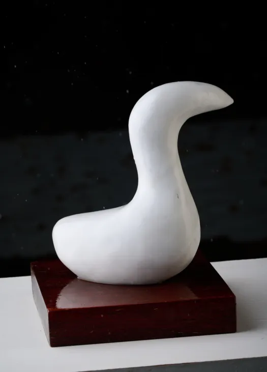 Water Bird by Peter Sanders