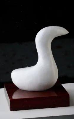 Water Bird by Peter Sanders