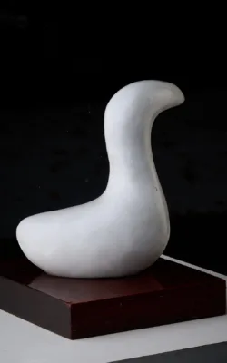 Water Bird by Peter Sanders