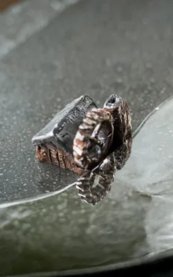 Waterfall by Paul Cacioli