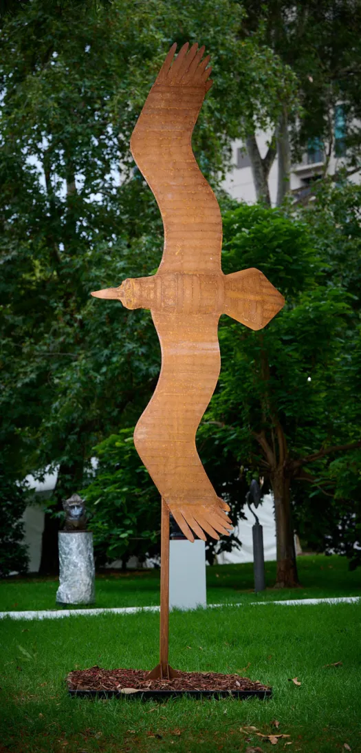 Wedge Tailed Eagle by Graham Duell