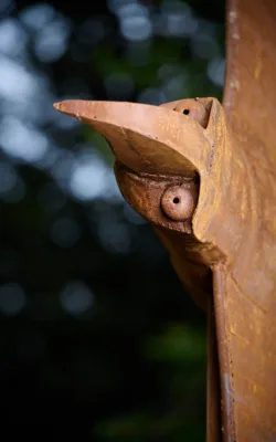Wedge Tailed Eagle by Graham Duell