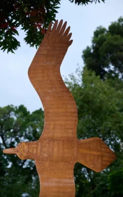 Wedge Tailed Eagle by Graham Duell