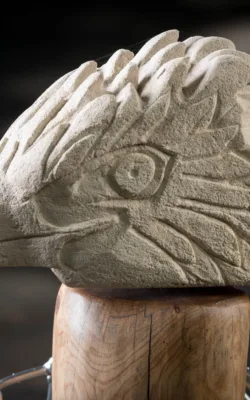 Wedgetail Eagle by Bronwyn Culshaw
