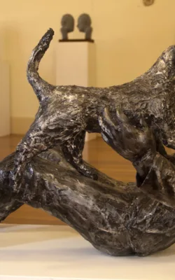 Welcome Home! by Lucinda Brash