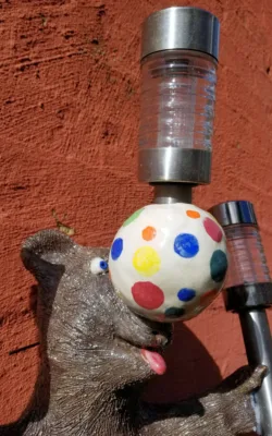 Welcome Wombat by Graham Duell