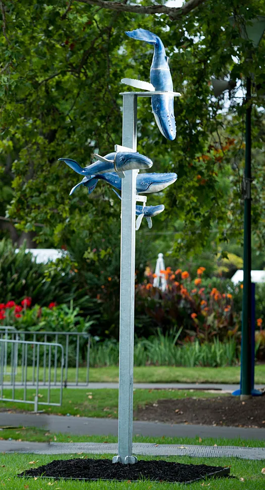Whale Song by Graham Duell