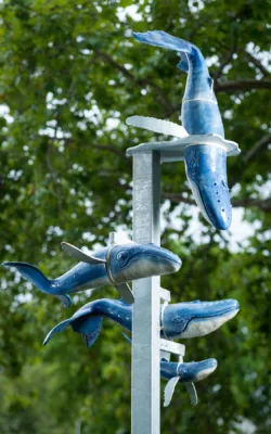 Whale Song by Graham Duell