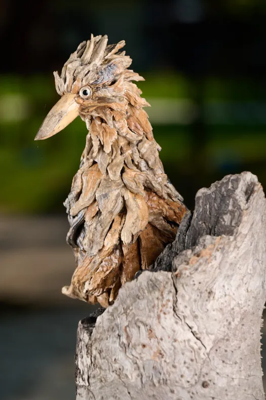 What’s that? by Chris Anderson