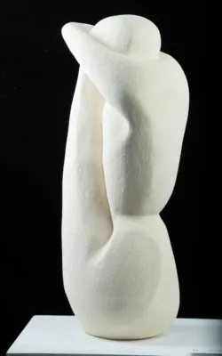 When Words Fail by Clare Collins