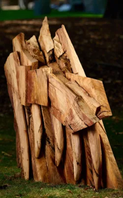 Where the Wolves Hide by Peter Saville