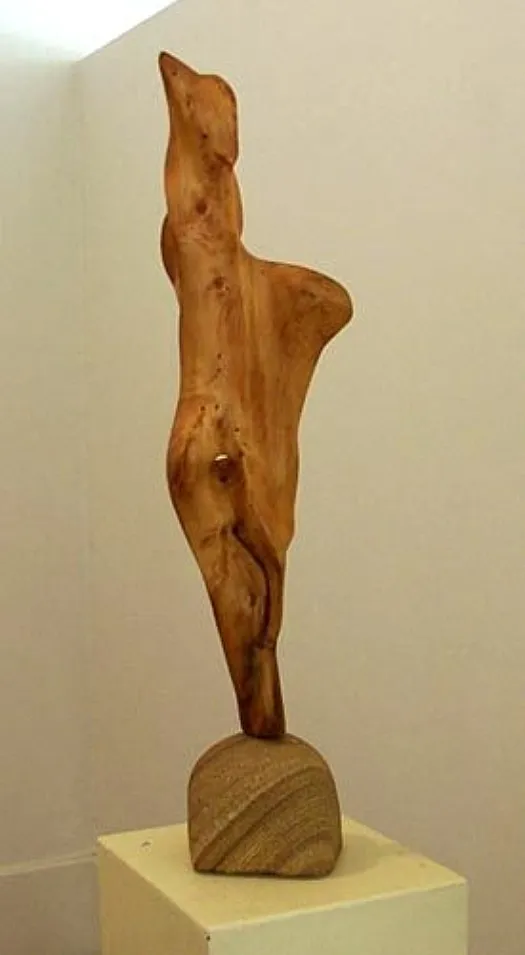 Whirling Figure by Kevin Free
