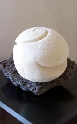 Whirlwind by Bronwyn Culshaw