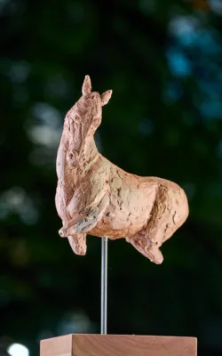 Wild Horse study (Doolaly-tap) by Martin Moore