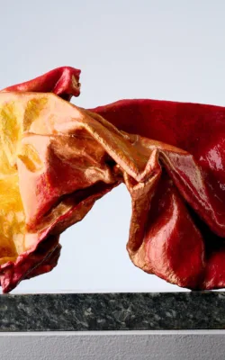 Wild & Precious Series- 'Dancing in Sunshine' by Gunnel Watkins