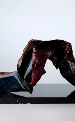 Wild & Precious Series - 'Disruption' by Gunnel Watkins