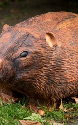 Wilma the Wombat by Shlomit Moria