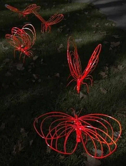 Wings of the Field by Betty Collier