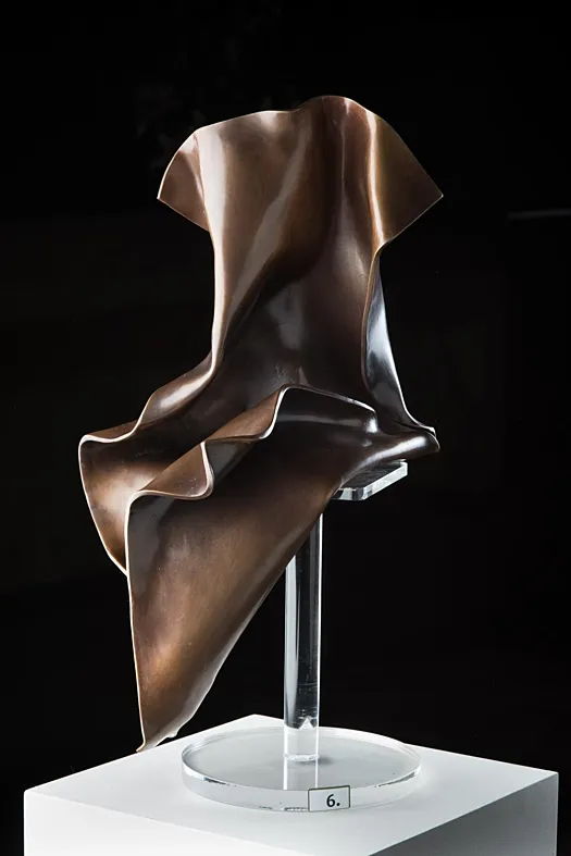 Within the Man by Rachel Boymal