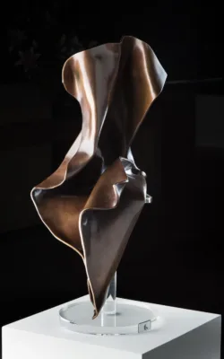 Within the Man by Rachel Boymal