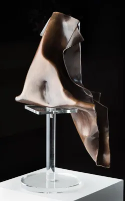 Within the Man by Rachel Boymal