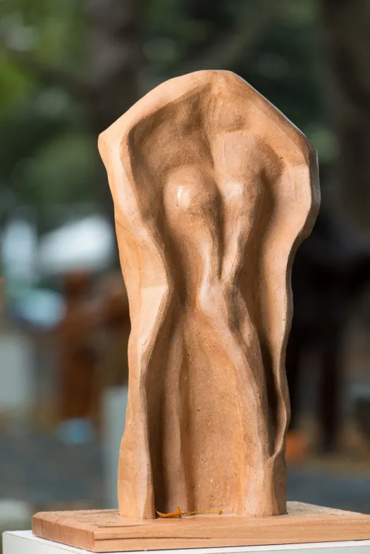 Woman Emerging by Rachel Boymal