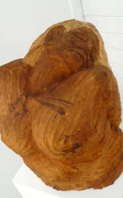 Woman who has the tattoo on her chest by Anthony Kim