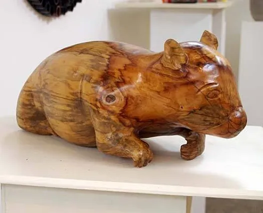 Wombat by Mary Currin