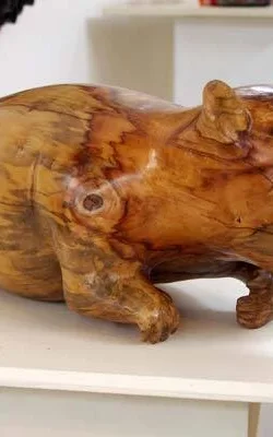 Wombat by Mary Currin